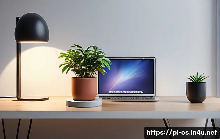 macOS에서 네트워크 속도 최적화 관련 이미지 1